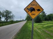 Turtle Crossing Sign