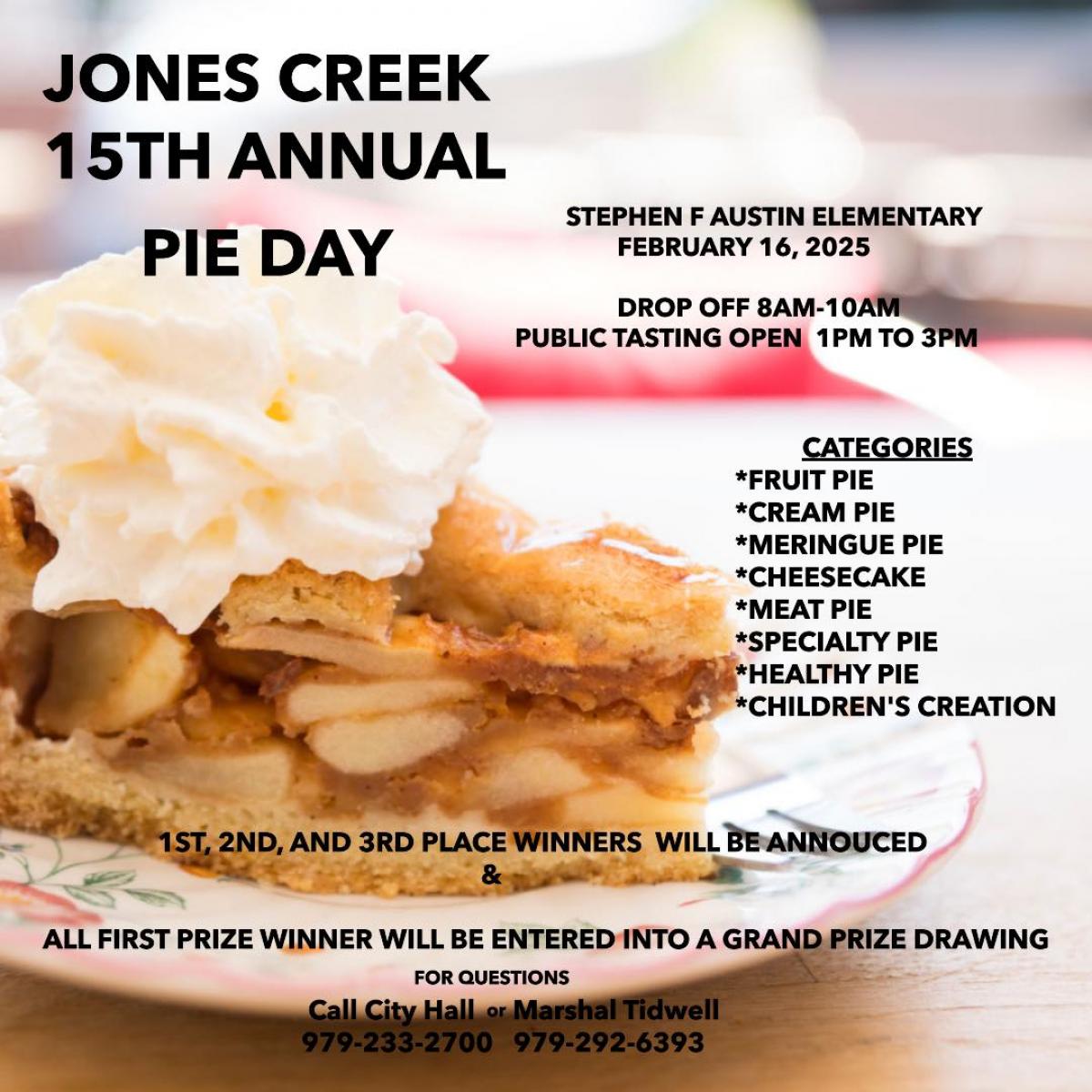 15th annual pie day