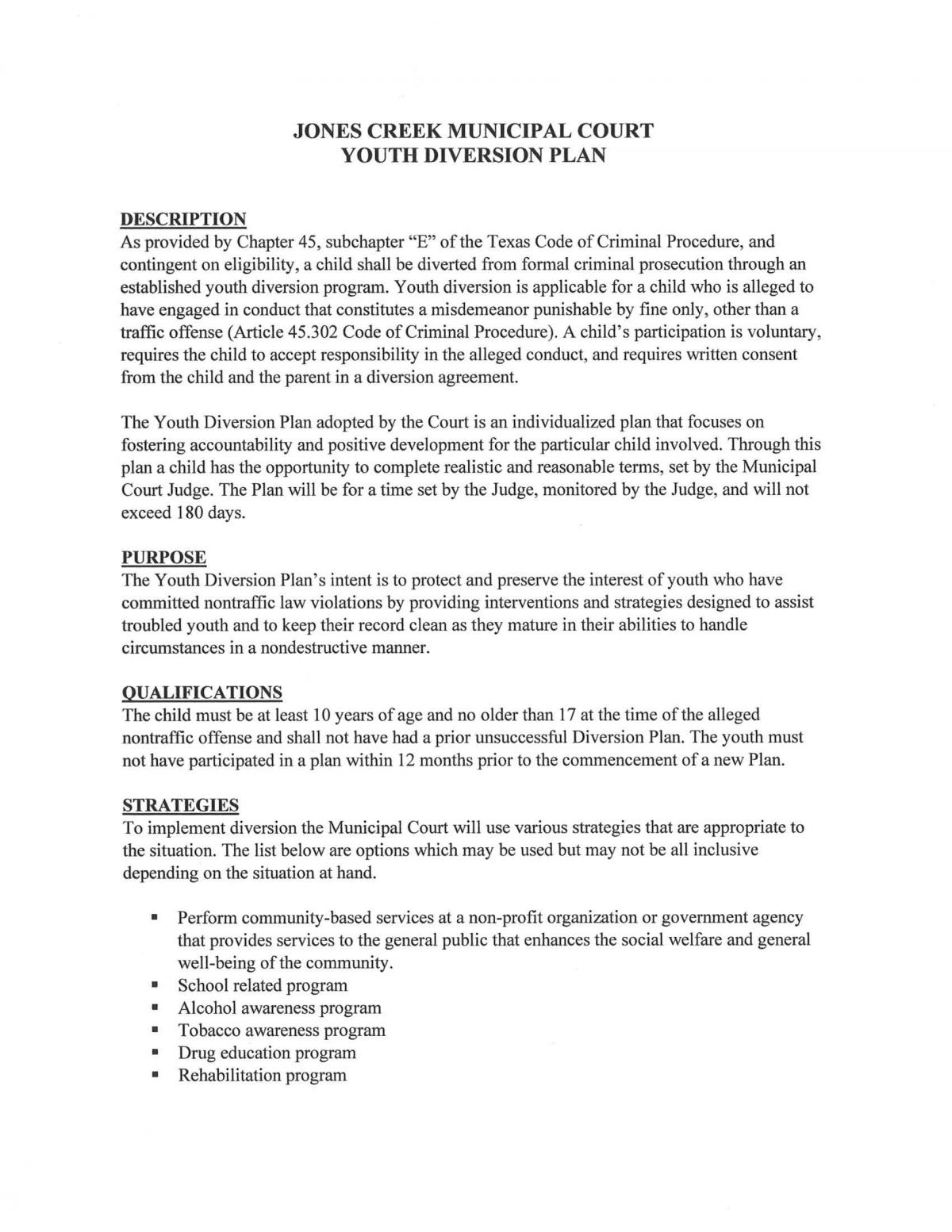 Youth Diversion Plan